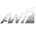 Ant1-copy